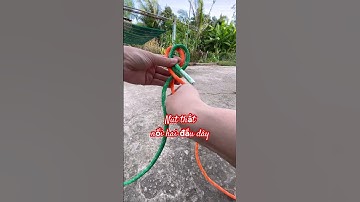 #52 Nút thắt nối hai đầu dây nhanh và chắc chắn| basic knot #knot #diy #tutorial