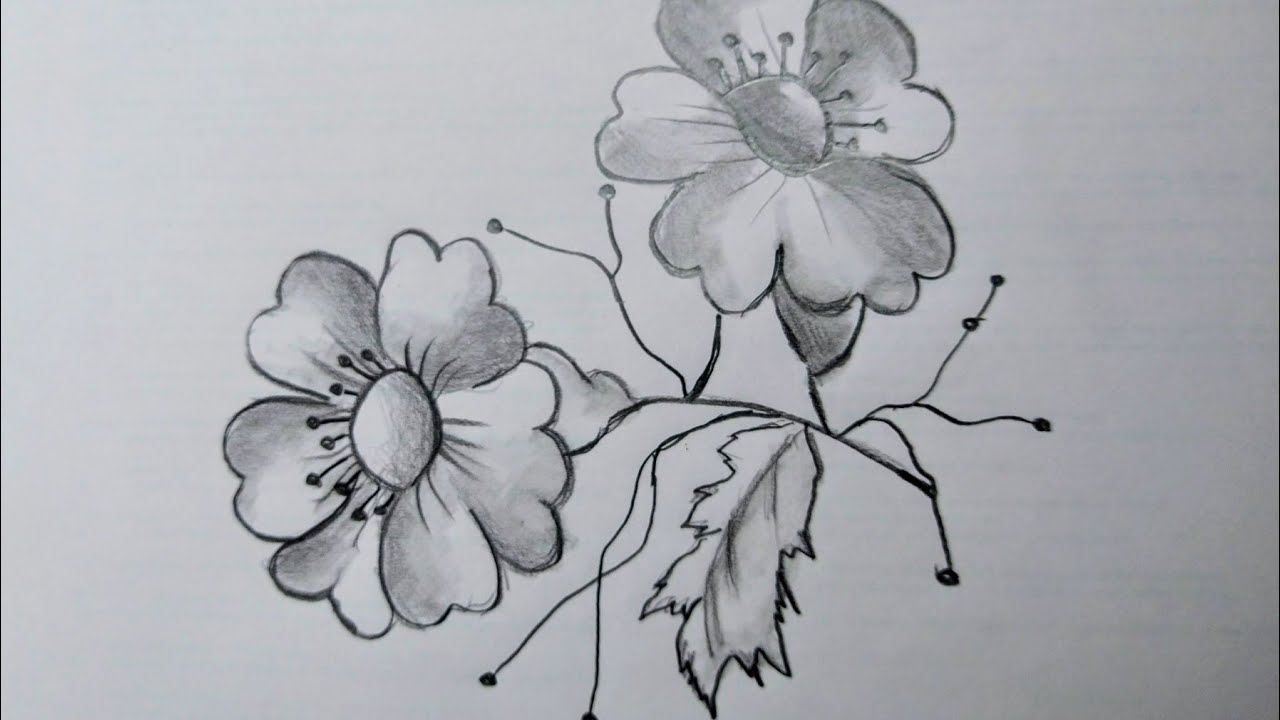 Beautiful graphite flower