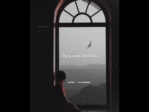 🤍Paravaiye🖤 Engu Irukkiraai💞