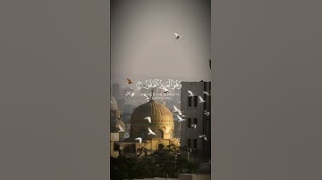 سورة الملك قبل النوم