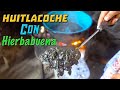 RECETA DEL HUITLACOCHE CON HIERBABUENA SUPER FÁCIL!! COMIDA MEXICANA