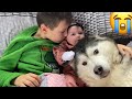 Newborn Baby Attemps To Talk To Her Husky For The First Time!! [KADE IS BACK!!]