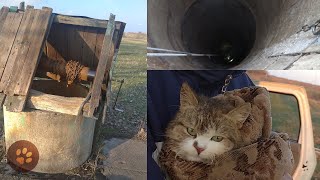 Кіт 2 тижні просидів у 18-метровому колодязі, його врятували дорослі та діти | Порятунок тварин