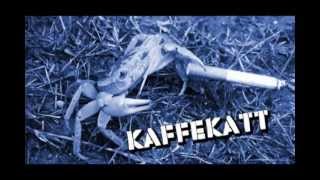 Watch Kaffekatt Snuskhummer video