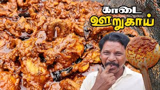 Tamil Cooking Videos