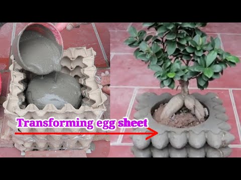 Amazing Ideas From Cement And Egg