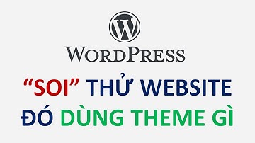 Cách kiểm tra website WordPress đó đang dùng theme gì | Hocban.vn