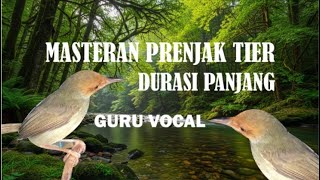 MASTERAN PRENJAK BETINA GACOR NGETIRRR PANJANG ! PALING AMPUH