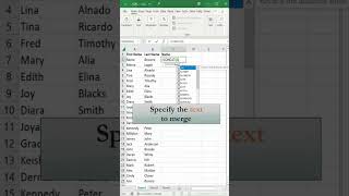 Combine Text from Multiple Cells into One Cell in Excel screenshot 2