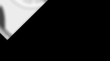 New intro[lemon lime] 🍋