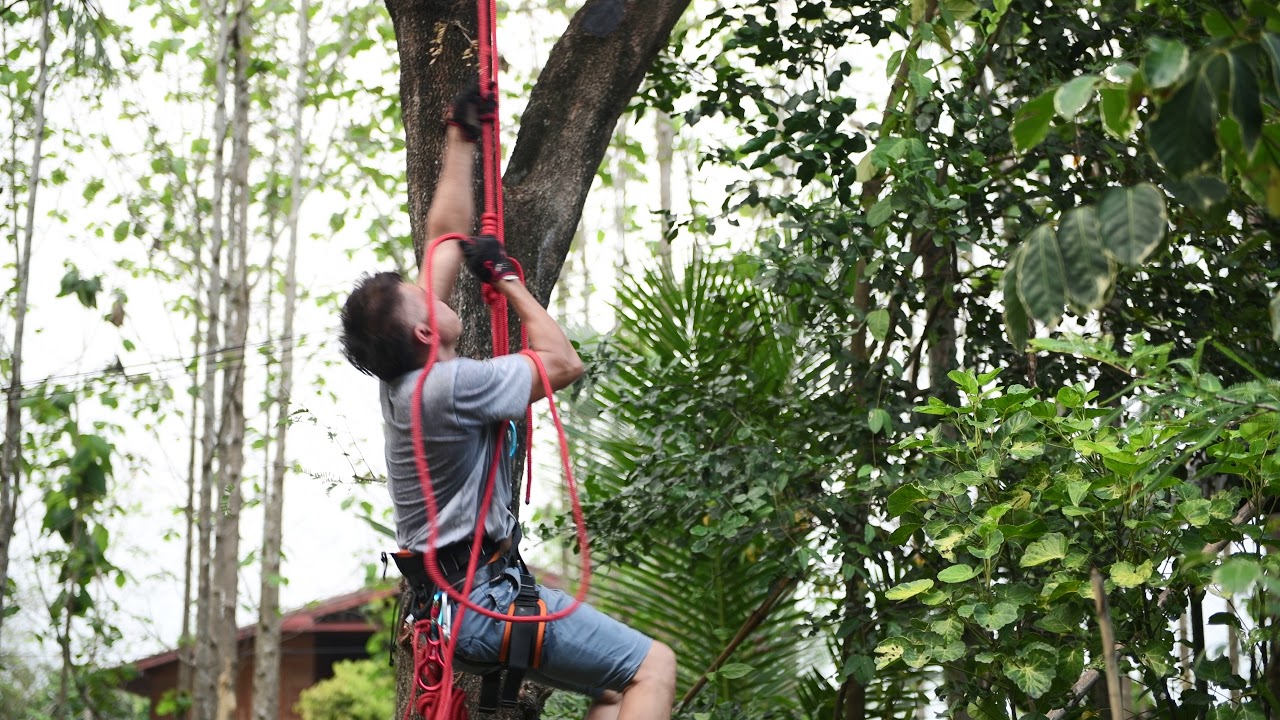 Ep.02 Practice climbing tree  - GJ ทดลองปีนต้นไม้ด้วยเงื่อน prusik Part03