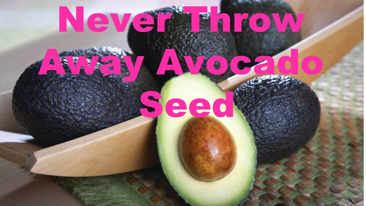Never Throw Away Avocado Seed Life Hacks YouTube