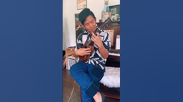 Thumbnail of Hallelujah