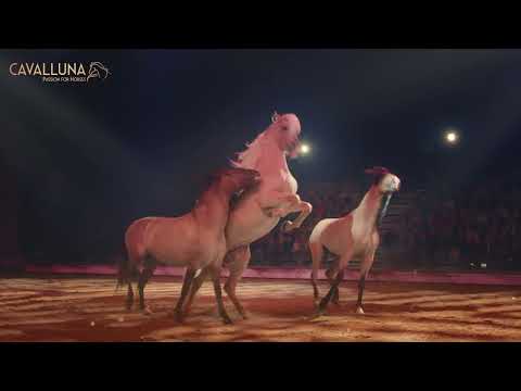 CAVALLUNA – Grand Moments – 15 & 16 maart 2025