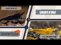 Unboxing shrimpfever inedit des crevettes au top  suivi dlevage