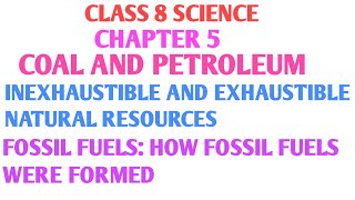 Inexhaustible and exhaustible natural resources  | Fossil fuels | How fossil fuels were formed