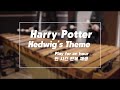 [1시간 반복재생] Harry Potter - Hedwig&#39;s Theme - Pulse Marimba Cover