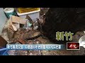 地方風災損壞與預防撤離