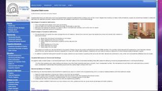 How to use Shortcodes