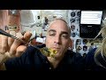 Nutrition in Space Exploration Quiz