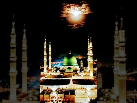 المدينة المنورة اذكار استغفر الله العظيم الذي لا إله الا هو الاذكار اكسبلور