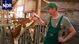 Der Bauernretter  Einsatz auf fremden Höfen | Die Nordreportage | NDR