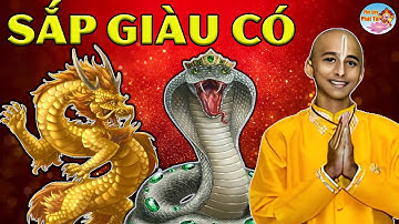 Hé Lộ Lời Tiên Tri Mới Nhất, 2 Con Giáp Đang Khổ Gặp Thời, Giàu Nứt Đố Đổ Vách Sau 1 Đêm | PQPT