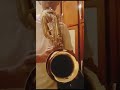 SAX BARÍTONO/REFERÊNCIA SELMER BUENO