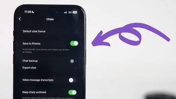 How To Fix WhatsApp Images Not Showing in Photos App / Gallery on iPhone! (2025)