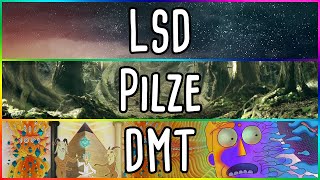 LSD vs Pilze vs DMT - der Vergleich!