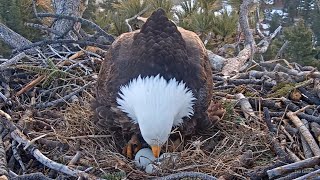 FOBBV🦅Jackie & Shadow Keep Calm & Eagle On💔MESSAGE FROM SANDY STEERS❗️2024-03-11