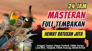 Masteran Kombinasi Tembakan Kasar Untuk Semua Jenis Burung Lomba