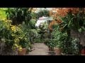 Behind the Scenes at The Orchid Show 2013