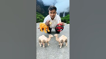 2 Ta remote control Camel Unboxing