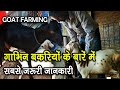 GOAT FARMING BUSINESS (बकरी पालन) में आपको बहुत पछताना पड़ेगा अगर आप इन बातों के बारें में नहीं जानते