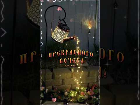 Прекрасного вечера!