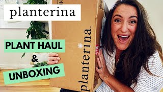 Planterina Plant Haul and Unboxing | You can
