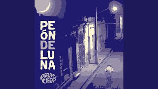 Video thumbnail of "Perro Ciego - No quema igual"