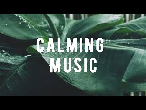 calming music - concentrate better with sounds of  the rainfall.