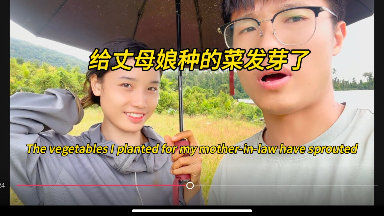 给丈母娘种的菜发芽了，The vegetables I planted for my mother-in-law have sprouted#老挝生活 #老挝农村生活 #老挝女孩