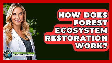 How Does Forest Ecosystem Restoration Work? - Earth Science Answers