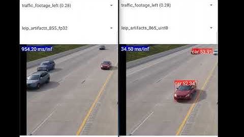 LEIP Optimized Model