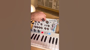 Dreadbox Hades RIPS #synth #analogsynthesizer #analogsynth #arturia #moogaudio #shorts