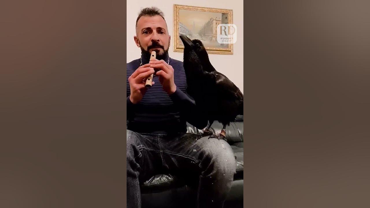 Man Plays Flute While Pet Raven Sings Along