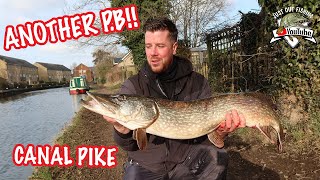 DEADBAITING VS LURES PIKE FISHING UK 🇬🇧