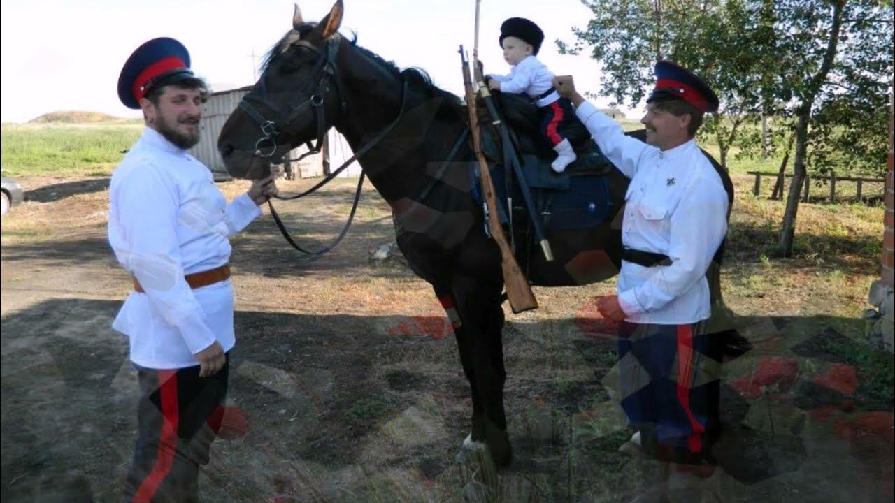 Казачество в жизни казаков