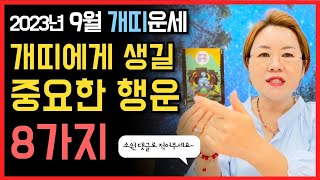 9월 개띠운세 행운비법  애정운/직장운/금전운/사업운/대인운/처신법/수호신/행운컬러