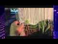 سر صناعة الكليم والسجاد اليدوى