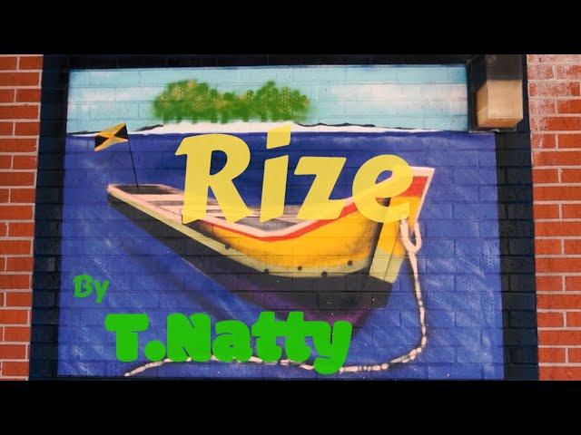 T.Natty - Rize ( Official Video ) class=