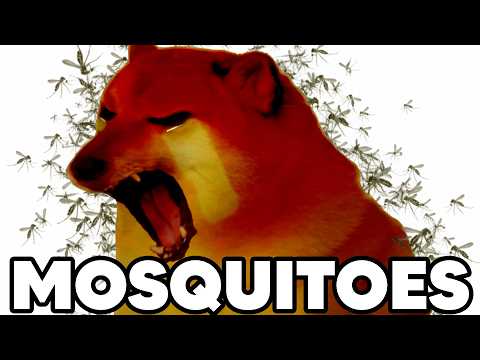 There Are 1000 Mosquitoes In My House